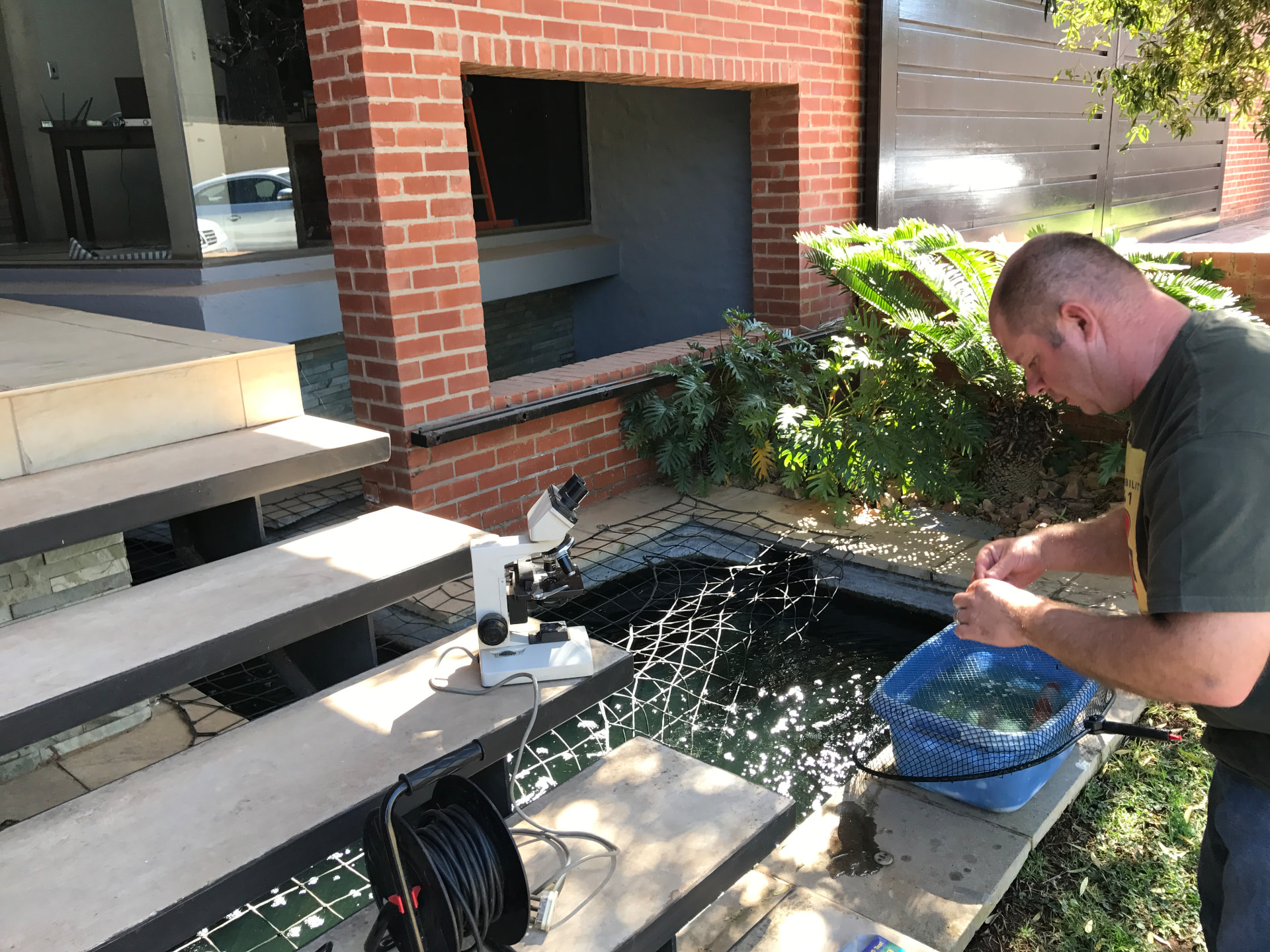 Gert with a microscope set up beside a garden koi pond in Pretoria East